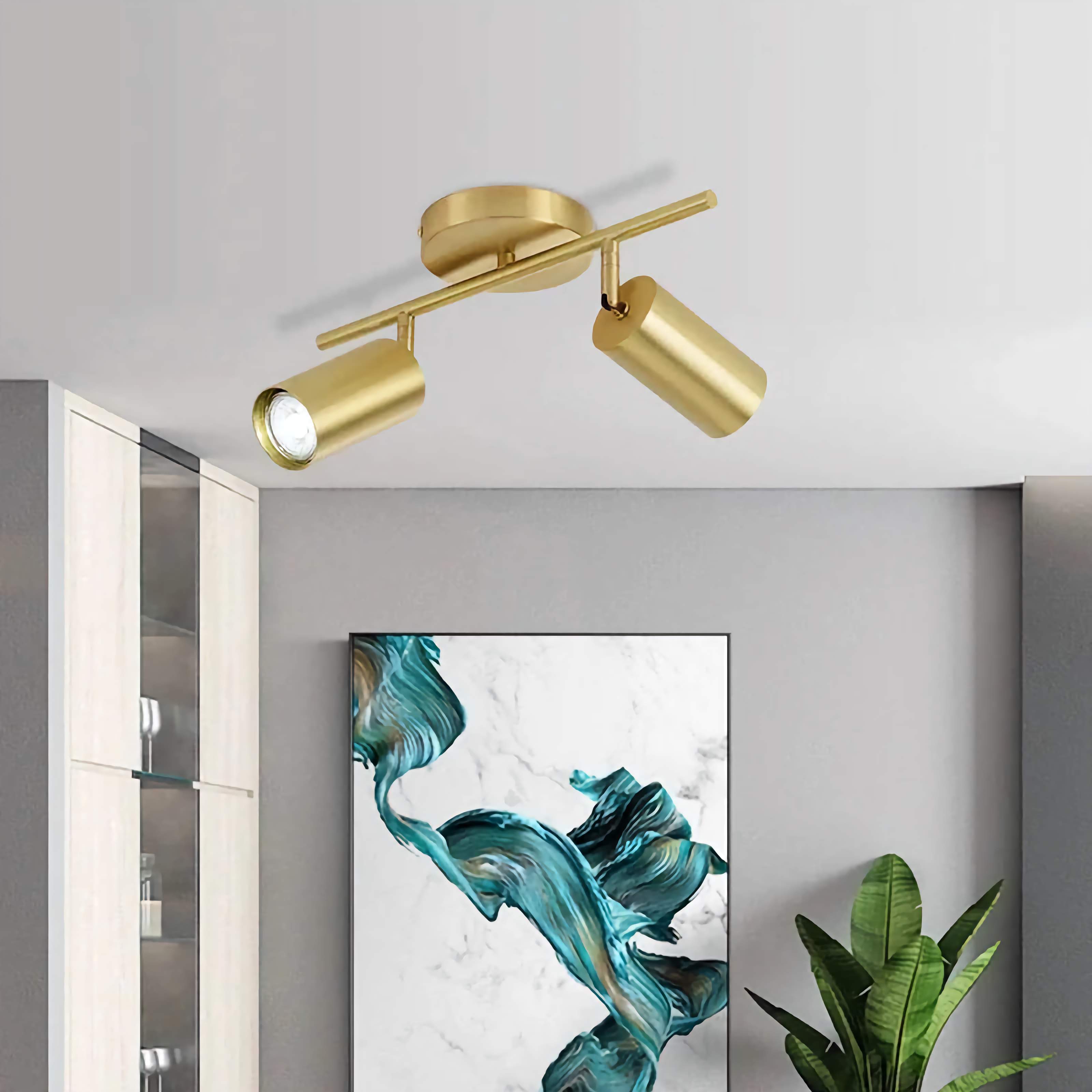 2-light Copper Track Lighting | Adjustable Flush Mount Fixture for Low Ceilings