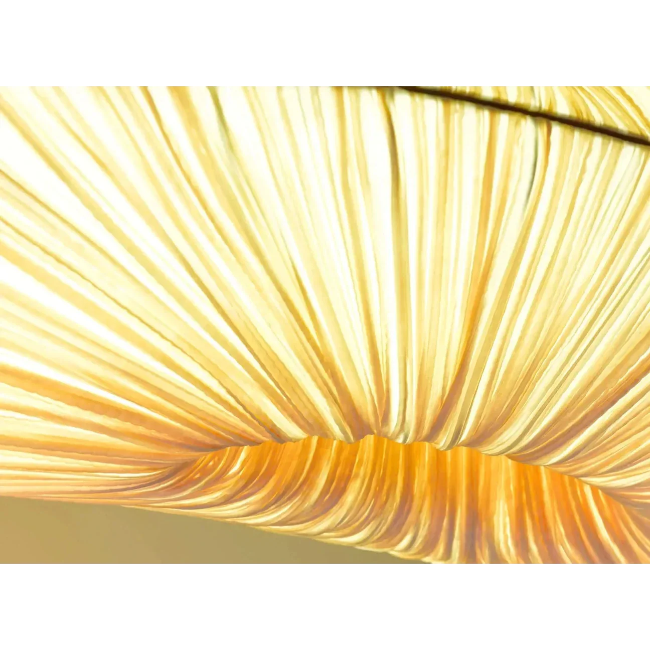 Modern Chandelier Handcrafted White Marine Cloth for Dining Room Living Restaurants | Cl7496303