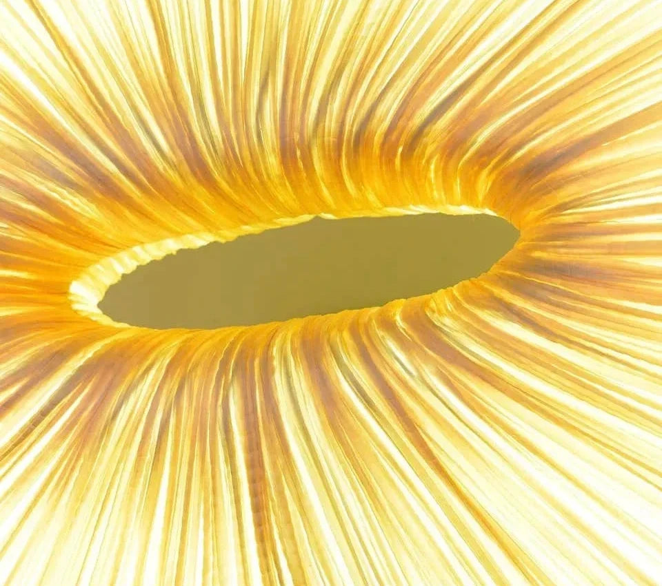 Modern Chandelier Handcrafted White Marine Cloth for Dining Room Living Restaurants | Cl7496303