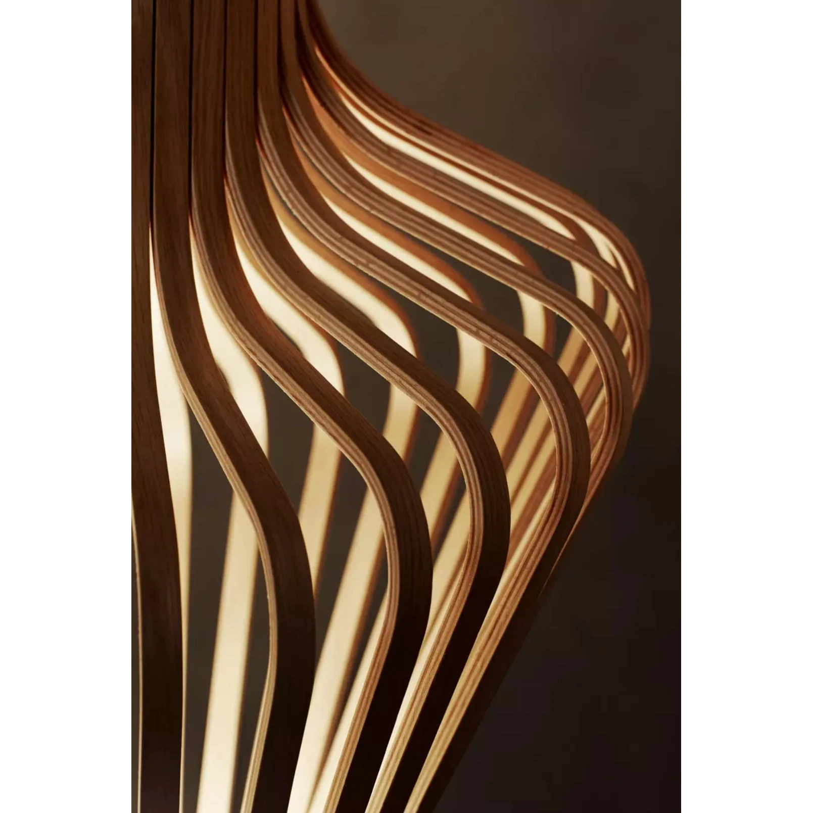 Scandinavian Bentwood Floor Lamp | Organic Sculptural Form Casalolalights Luxury Lamps for Interior Designers