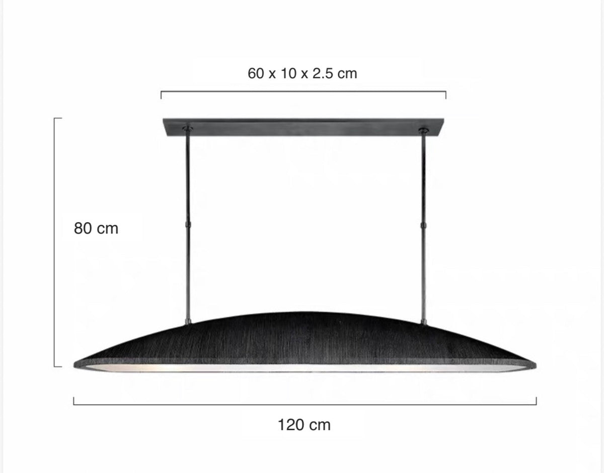 Dimension drawing of the 120 cm version: 60 x 10 x 2.5 cm canopy, 80 cm overall drop.