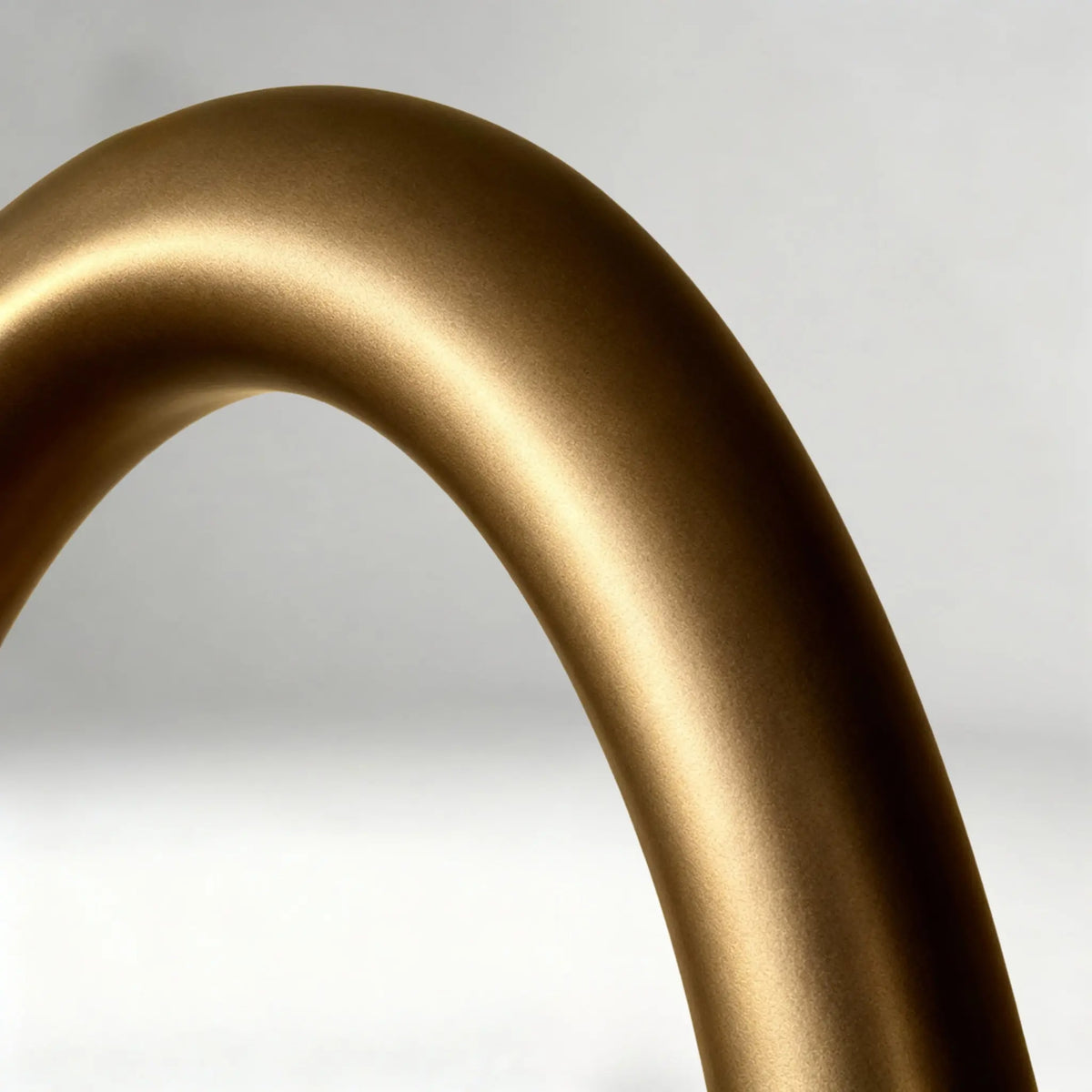 Organic Arch Floor Lamp | 168cm Sculptural Biomorphic Design | Dark Bronze Finish Resin | Avant-garde Reading Light