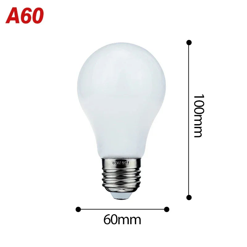 Led Bulbs A60 G80 G95 G45 Versatile & Long Lasting | Available in Warm Cold White